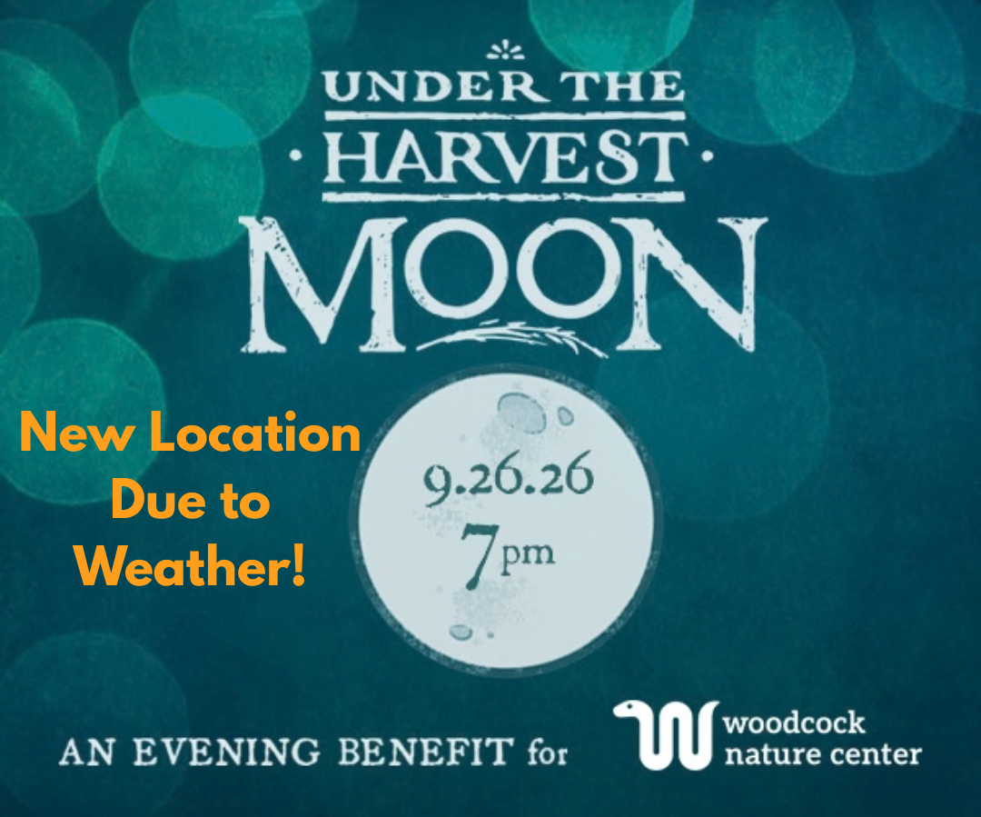 Woodcock Nature Center Under the Harvest Moon